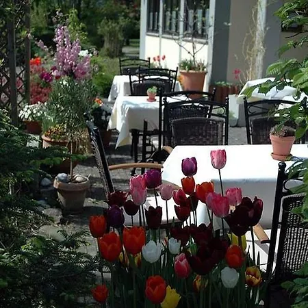 Restaurant Schachener Hof 3* Lindau (Bodensee)